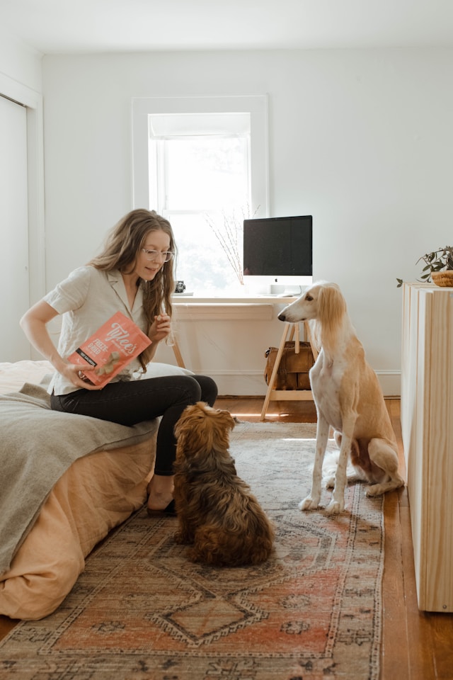 Une femme assise sur un canapé apprend un tour à son chien blanc dans un salon chaleureux.