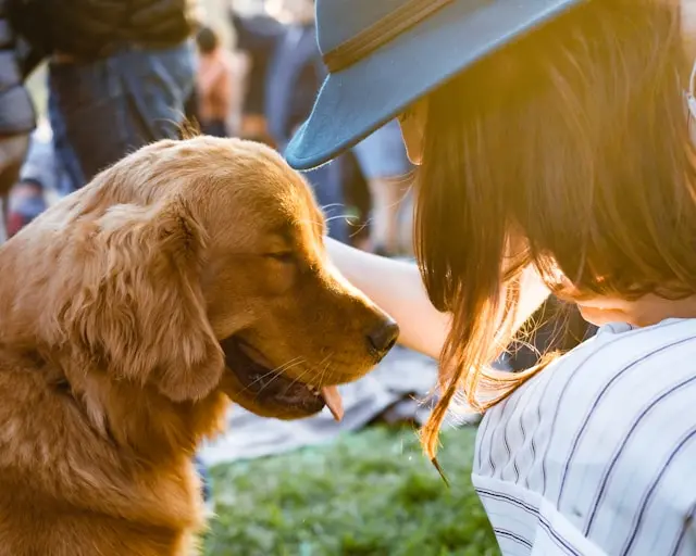 Femme caressant tendrement un Golden Retriever dans un parc ensoleillé pendant un rassemblement