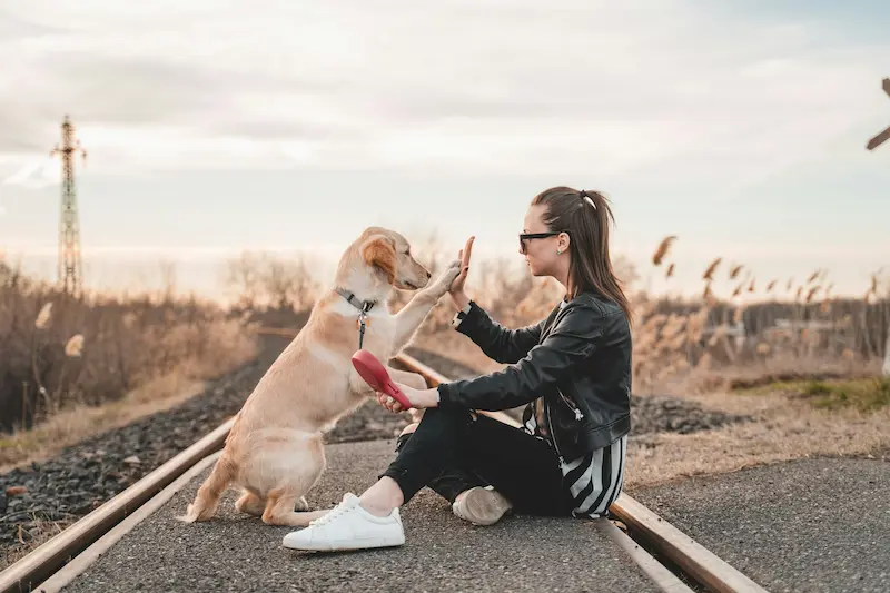 Éducatrice canine assise sur une voie ferrée donnant la patte à son Labrador, démonstration de dressage ludique et relationnel
