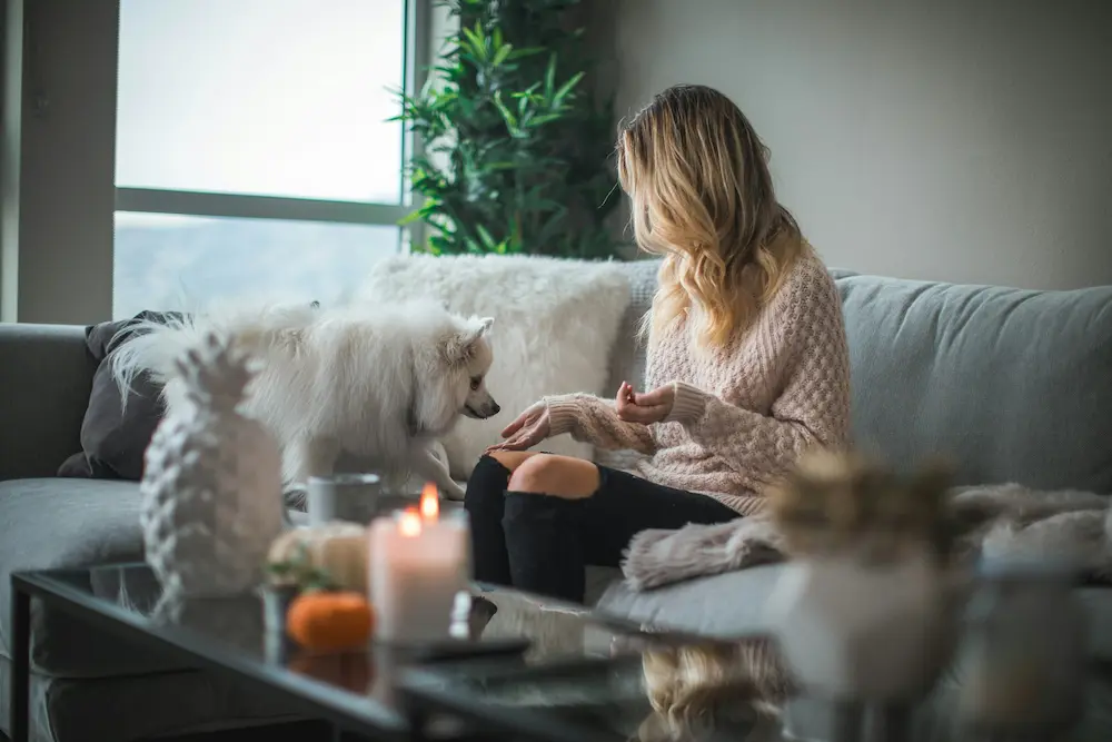 Femme assise sur un canapé donnant une friandise à son chien blanc dans un salon cosy